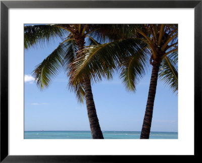 Palm Trees On Waikiki Beach, Hawaii by Stacy Gold Pricing Limited Edition Print image