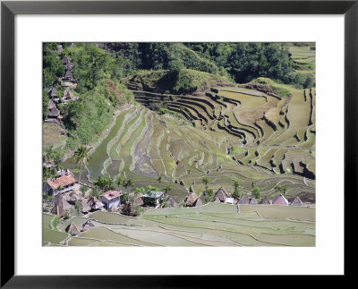 Spectacular Amphitheatre Of Rice Terraces Around Mountain Province Village Of Batad, Philippines by Robert Francis Pricing Limited Edition Print image