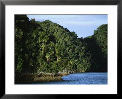 Rock Island With Trees In The Republic Of Palau by Tim Laman Pricing Limited Edition Print image