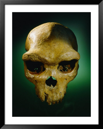 The Skull Of An Prehistoric Man by Kenneth Garrett Pricing Limited Edition Print image