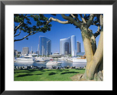 Embarcadero Marina, San Diego, California, Usa by Ruth Tomlinson Pricing Limited Edition Print image