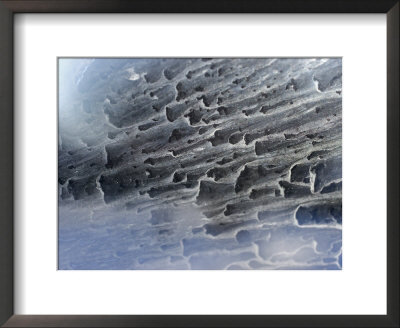 Close View Detail Of A Porous Material by Charles Kogod Pricing Limited Edition Print image