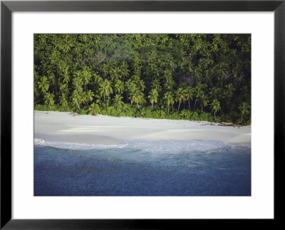 An Aerial View Of The Shoreline On One Of The Seychelles Islands by Bill Curtsinger Pricing Limited Edition Print image