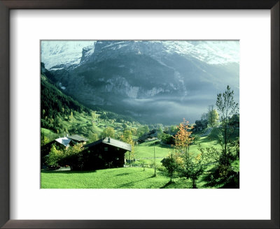 Bernese Oberland, Switzerland by Oxford Scientific Pricing Limited Edition Print image