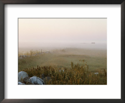 Misty Fields Divided By A Line Of Rocks And A Fence by Mattias Klum Pricing Limited Edition Print image