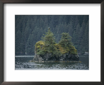 A Bald Eagle Perches Atop A Pine Tree On A Tiny Island by George F. Mobley Pricing Limited Edition Print image