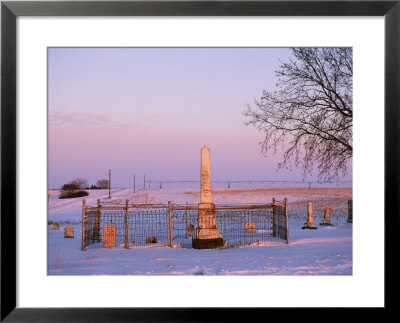 Pink Light On A Rural Cemetery, Snow, And A Bare Tree by Joel Sartore Pricing Limited Edition Print image