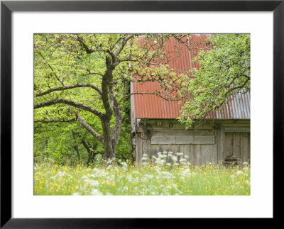 Spring Blossoms And Alpine House, Spodnja Trenta, Gorenjska, Slovenia by Walter Bibikow Pricing Limited Edition Print image