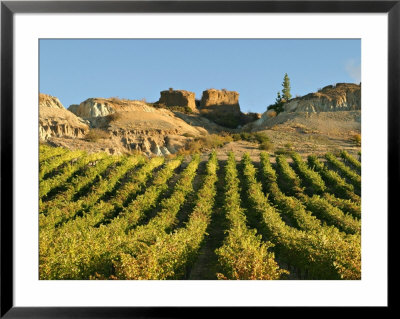 Mt. Difficulty Vineyard And Sluicings, Bannockburn, South Island, New Zealand by David Wall Pricing Limited Edition Print image