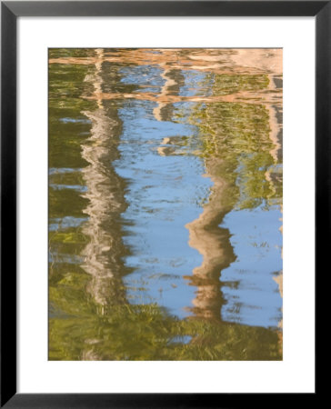 Reflection Of Palm Trees In River, Jekyll Island, Georgia, Usa by Joanne Wells Pricing Limited Edition Print image