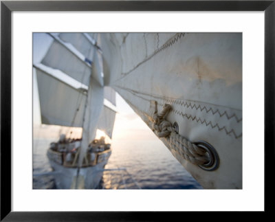 Detail Of Star Clipper Sails, Netherlands Antilles by Holger Leue Pricing Limited Edition Print image