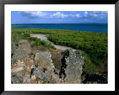 Husuni Kubwa, Kilwa Ruins, Kilwa Kisiwani, South Coast, Tanzania by Ariadne Van Zandbergen Pricing Limited Edition Print image