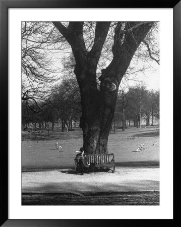 Man Sitting On A Bench And Reading A Newspaper In The Park by Cornell Capa Pricing Limited Edition Print image