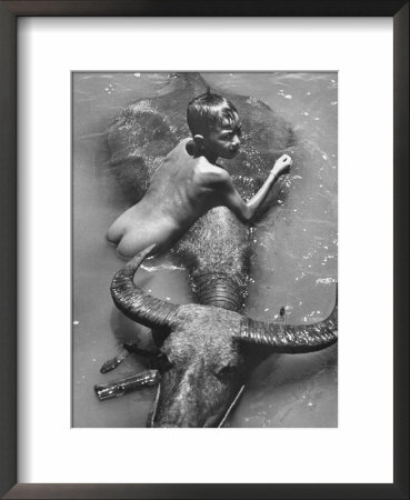 Thai Boy Scrubbing Water Buffalo by John Dominis Pricing Limited Edition Print image