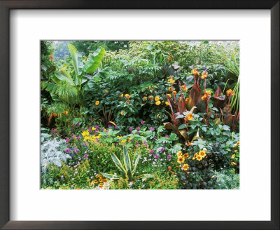 Agave, Dahlia, Canna & Esete (Banana Tree), Cotswold Wildlife Park, Late Summer by Mark Bolton Pricing Limited Edition Print image