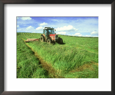 Tractor Cutting Grass Meadow For Silage Farming, Uk by Mark Hamblin Pricing Limited Edition Print image