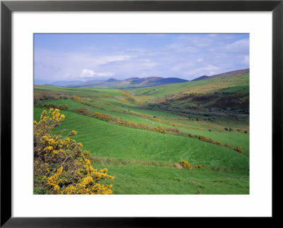 Fields Near Dingle, Co. Kerry, Ireland/Eire by Roy Rainford Pricing Limited Edition Print image