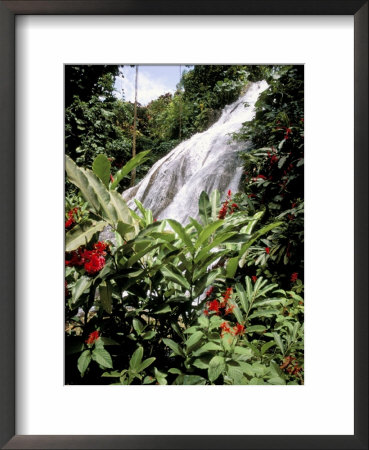 Waterfall, Shaw Park Botanical Gardens, Ocho Rios, Jamaica, West Indies, Caribbean, Central America by Brigitte Bott Pricing Limited Edition Print image