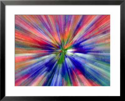 Zoom Abstract Of Pansy Flowers by Charles R. Needle Pricing Limited Edition Print image