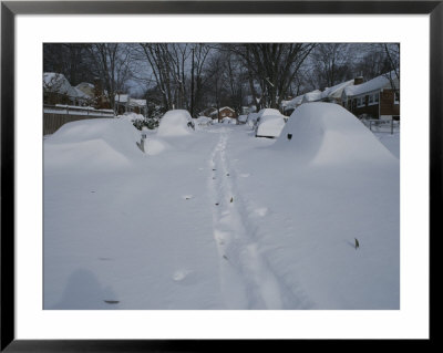 Snow-Covered Streets And Buried Cars From The Blizzard Of 96 by Stephen St. John Pricing Limited Edition Print image