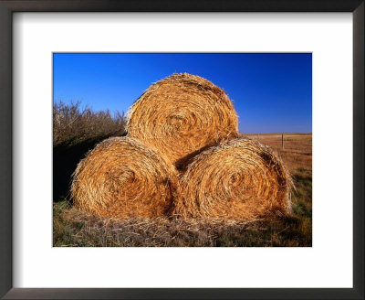Three Hay Bales On Farm In Red River Valley, Alberta, Canada by Barnett Ross Pricing Limited Edition Print image
