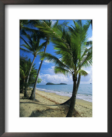 Palm Cove, With Double Island Beyond, North Of Cairns, Queensland, Australia by Robert Francis Pricing Limited Edition Print image