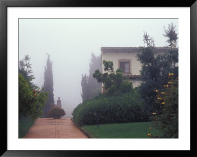 Old Villa And Gardens In Fog, Tuscany, Italy by John & Lisa Merrill Pricing Limited Edition Print image