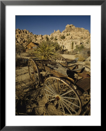 Desert Queen Ranch At Joshua Tree National Park, California by Phil Schermeister Pricing Limited Edition Print image