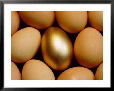 Golden Egg by Iain Sarjeant Pricing Limited Edition Print image