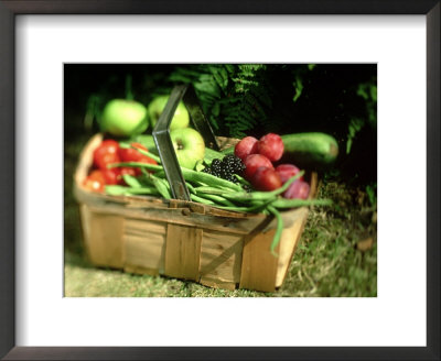 Fruit And Vegetables From The Garden, Kent by David Tipling Pricing Limited Edition Print image