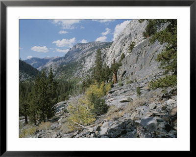 A View Through Goddard Canyon, Along The John Muir Trail by Rich Reid Pricing Limited Edition Print image