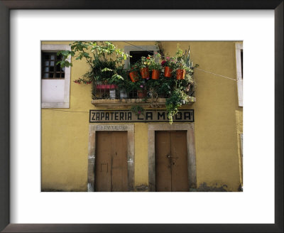 Balcony Crowded With Potted Plants by Gina Martin Pricing Limited Edition Print image