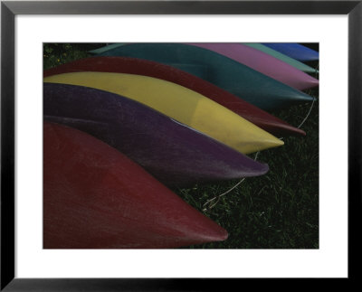 Colorful Kayaks Lined Up By A Marina by Todd Gipstein Pricing Limited Edition Print image