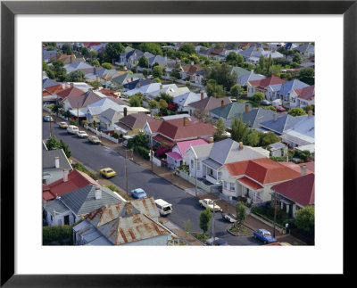Aerial View Of Wooden Villas, Corrugated Iron Roofs, Suburban Street, Auckland by Julia Thorne Pricing Limited Edition Print image