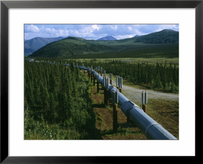 The Trans-Alaska Pipeline Runs Through The Alaskan Wilderness by Melissa Farlow Pricing Limited Edition Print image