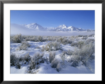 Snow Covered Valley And Fog In The Eastern Sierras, California by Rich Reid Pricing Limited Edition Print image