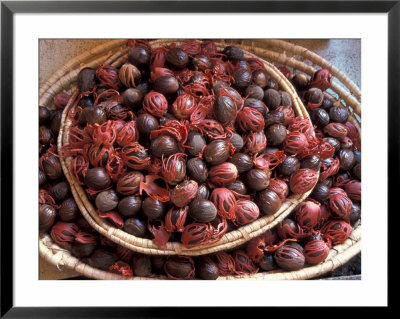 Nutmeg In Public Market, Castries, Caribbean by Greg Johnston Pricing Limited Edition Print image