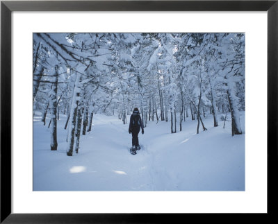 A Hiker Passes Through A Snowy Forest On A Trail by Bill Curtsinger Pricing Limited Edition Print image