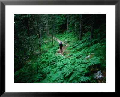 Trekker Descending Trail On Mt. Olympus From Ghiosos Apostolidhis Refuge, Petrostrouga, Greece by Mark Daffey Pricing Limited Edition Print image