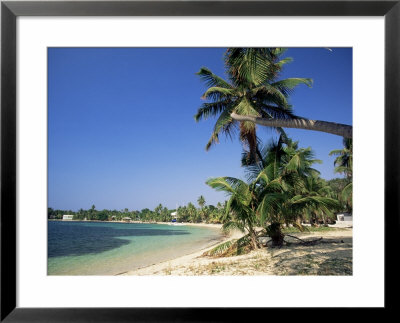Beach At Resort Of West End, On Roatan, Largest Of The Bay Islands by Robert Francis Pricing Limited Edition Print image