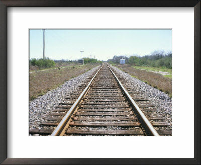 Rail Tracks Near Austin, Texas, Usa by David Lomax Pricing Limited Edition Print image