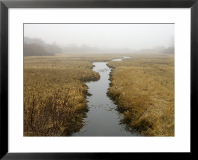 Early Morning Cape Cod Marsh Scene, Chatham, Cape Cod, United States, Massachusetts by Brimberg & Coulson Pricing Limited Edition Print image