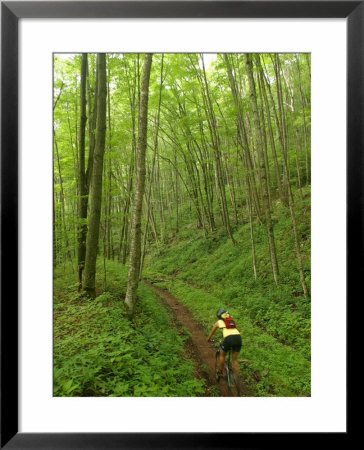 Mountain Biker On Props Run, A Single Track Trail by Skip Brown Pricing Limited Edition Print image