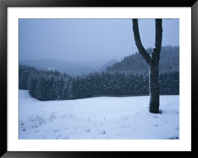 Winter Scene With The Black Forest In The Background by Taylor S. Kennedy Pricing Limited Edition Print image