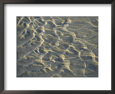 Patterns In The Sand by Todd Gipstein Pricing Limited Edition Print image
