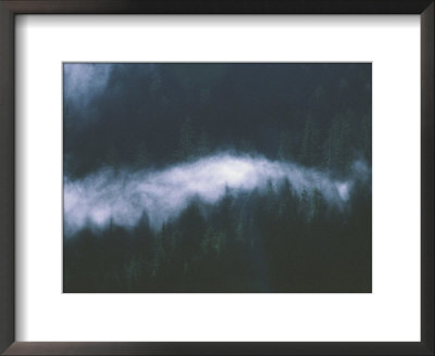 A Blanket Of Fog Covers Treetops In Misty Fjord National Monument by Bill Curtsinger Pricing Limited Edition Print image