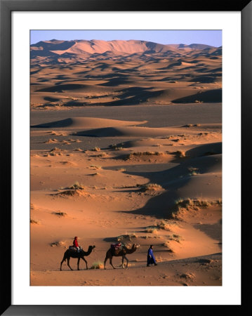 Camel Caravan Crossing Dunes, Erg Chebbi Desert, Morocco by John Elk Iii Pricing Limited Edition Print image