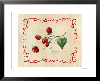 Madeira Red by Elizabeth Garrett Pricing Limited Edition Print image