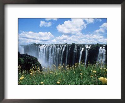 Flowers In Bloom With The Victoria Falls Behind, Unesco World Heritage Site, Zambia, Africa by D H Webster Pricing Limited Edition Print image