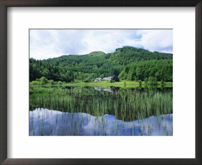 Reflections In Loch Dhu, The Trossachs, Near Aberfoyle, Stirling (Central), Scotland, Uk, Europe by Roy Rainford Pricing Limited Edition Print image